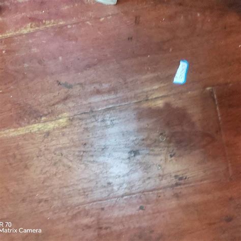 世界杯下单网站